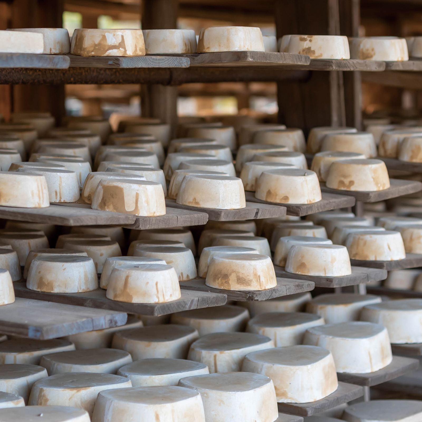 弓野人形（江口人形店） 写真2